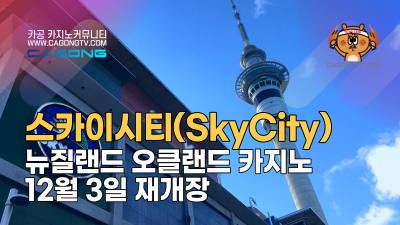뉴질랜드 스카이시티(SkyCity) 오클랜드 카지노 1…