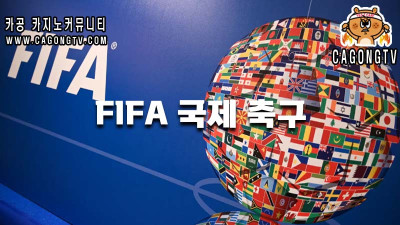 FIFA 축구 국가 대표 ( 국제 축구 연맹)